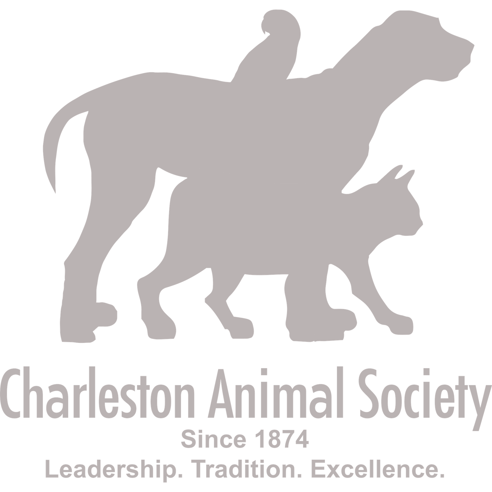 Charleston Animal Society - Client Logo