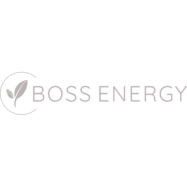 Boss Energy