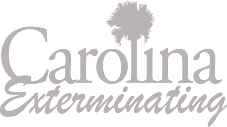 carolina_exterminating_logo_1C-Squeeze-G1